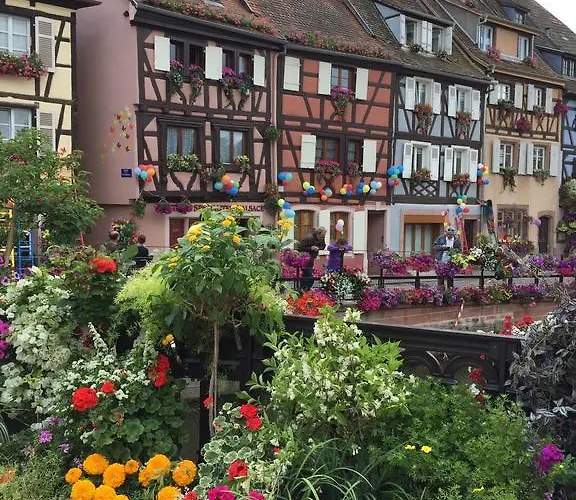 Les De Petite Venise Colmar
