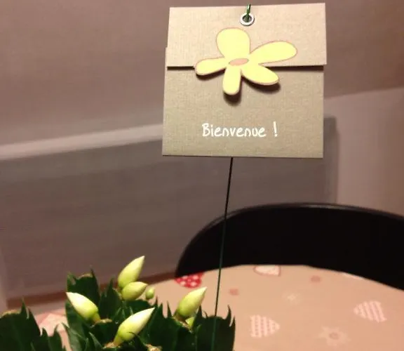 Les De Petite Venise