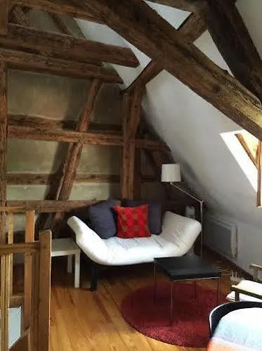 Apartment Les De Petite Venise Colmar